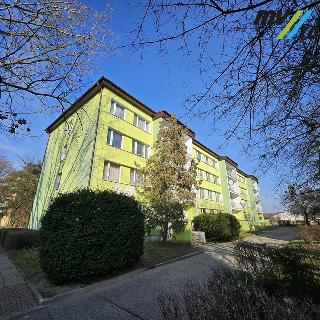 Prodej bytu 3+kk 69 m² Lysá nad Labem, Okružní