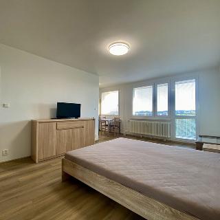 Pronájem bytu 1+kk a garsoniéry 34 m² Kutná Hora, Havířská stezka