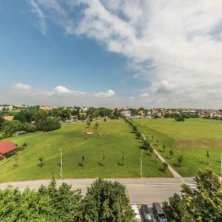 Prodej bytu 3+1 74 m² Praha, Španielova