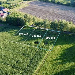 Prodej stavební parcely 699 m² Mirošov, 