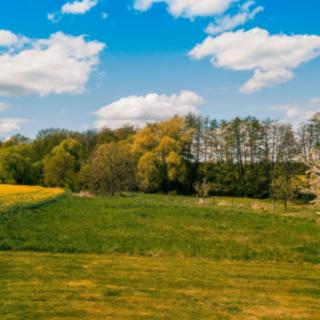 Prodej stavební parcely 1548 m² Církvice