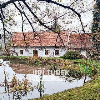 Pronájem rodinného domu 150 m² Křešín