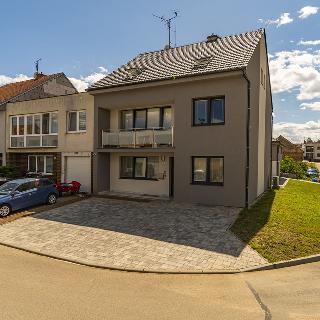 Prodej rodinného domu 240 m² Dolní Bojanovice, Zvolence