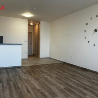 Pronájem bytu 1+kk a garsoniéry 35 m² Pohořelice, Znojemská