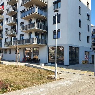 Pronájem obchodu 84 m² Brno, Střední