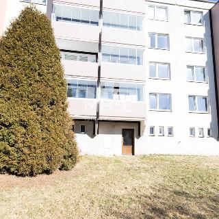 Pronájem bytu 2+1 58 m² Břidličná, Dlouhá