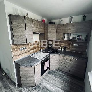 Pronájem bytu 1+1 39 m² Bohumín, Svat. Čecha