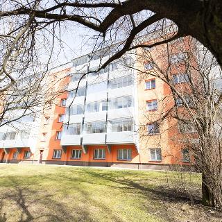 Pronájem bytu 2+1 63 m² Karviná, Březová