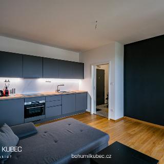 Pronájem bytu 1+kk a garsoniéry 32 m² Tábor, U Areálu