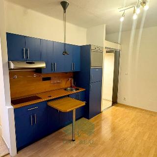 Pronájem bytu 1+kk a garsoniéry 20 m² Praha, Jihlavská