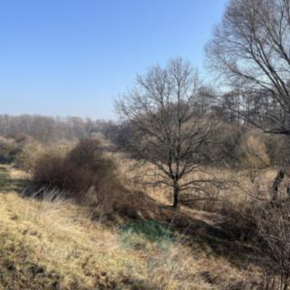 Prodej louky 698 m² Praha, 