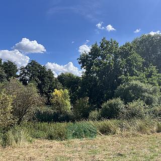 Prodej louky 698 m² Praha