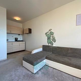 Prodej bytu 1+kk, garsoniery 27 m&sup2; Praha