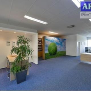 Pronájem skladu 1 393 m² Průhonice