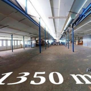 Pronájem skladu 1 350 m² Neumětely