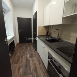 Pronájem bytu 1+1 37 m² Petrovice