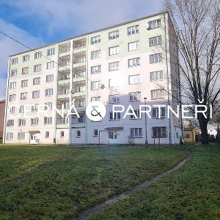 Prodej bytu 2+1 55 m² Rotava, Sídliště