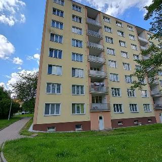 Pronájem bytu 1+1 36 m² Chodov, Jiráskova