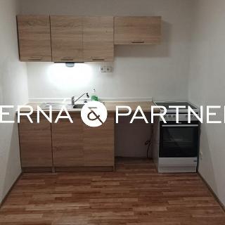 Pronájem bytu 1+1 37 m² Dolní Poustevna, Lobendavská