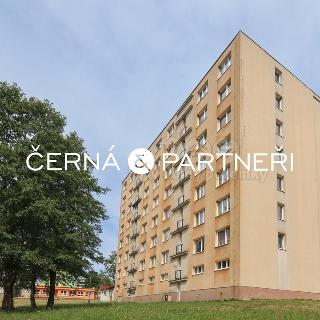 Prodej bytu 1+kk a garsoniéry 22 m² Rovná