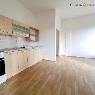 Pronájem bytu 2+1 56 m² Ústí nad Labem, Elišky Krásnohorské