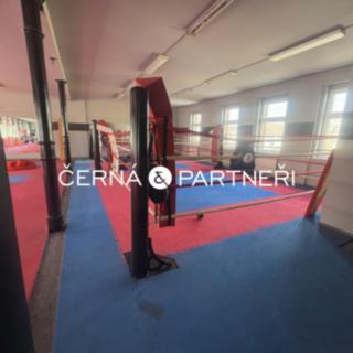 Pronájem ostatního komerčního prostoru 280 m² Teplice, Štúrova