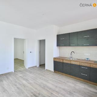 Pronájem bytu 2+kk 40 m² Ústí nad Labem, Varšavská