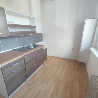 Pronájem bytu 2+1 53 m² Bílina