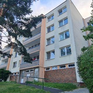 Prodej bytu 2+kk 44 m² Teplice, Slovenská