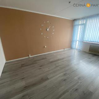 Pronájem bytu 2+1 48 m² Bílina