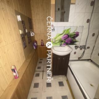 Pronájem bytu 1+kk a garsoniéry 31 m² Teplice Prosetice