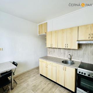 Pronájem bytu 2+1 58 m² Habartov, Gagarinova