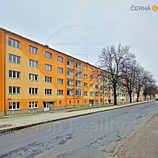 Pronájem bytu 2+1 56 m² Rotava, Sídliště