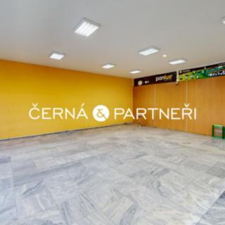 Pronájem obchodu 250 m² Teplice Řetenice, Duchcovská
