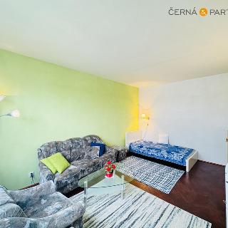 Pronájem bytu 1+1 37 m² Rotava, Sídliště