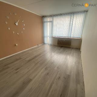 Pronájem bytu 2+1 48 m² Bílina