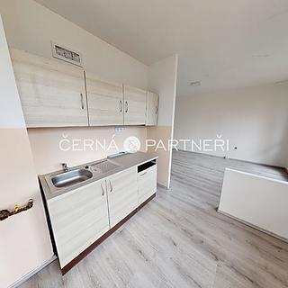 Pronájem bytu 2+1 54 m&sup2; Bílina