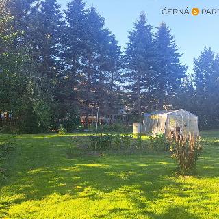 Prodej zahrady 1 944 m² Chlumec