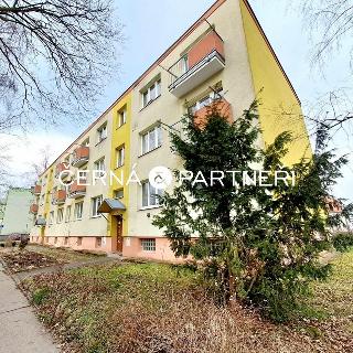 Prodej bytu 1+kk a garsoniéry 23 m² Teplice, V břízkách