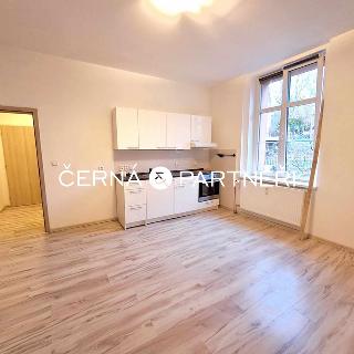 Pronájem bytu 2+kk 44 m² Ústí nad Labem, Elišky Krásnohorské