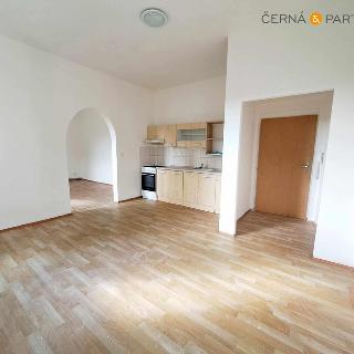 Pronájem bytu 2+1 56 m² Ústí nad Labem, Elišky Krásnohorské