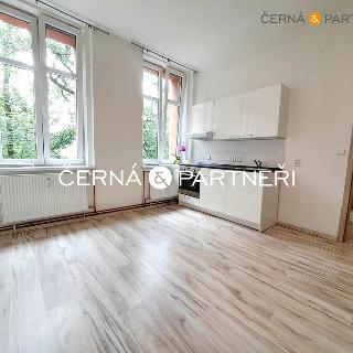 Pronájem bytu 1+kk a garsoniéry 33 m² Ústí nad Labem, Elišky Krásnohorské