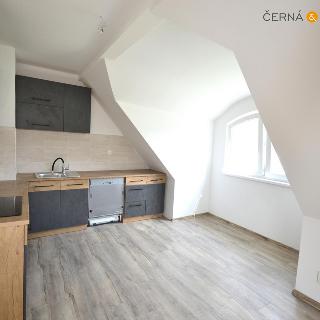 Pronájem bytu 2+kk 55 m² Ústí nad Labem, Varšavská