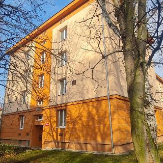 Prodej bytu 3+1 70 m² Teplice, Americká