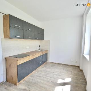 Pronájem bytu 1+1 40 m² Ústí nad Labem