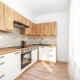 Pronájem bytu 1+1 38 m² Rychnov nad Kněžnou, Javornická