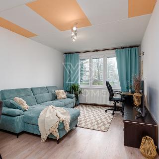 Prodej bytu 2+1 60 m² Cheb, Lesní