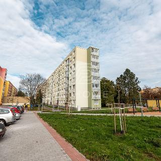 Pronájem bytu 3+1 72 m² Plzeň, Vojanova