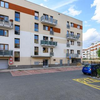 Pronájem bytu 1+kk a garsoniéry 35 m² Plzeň, Rybářská