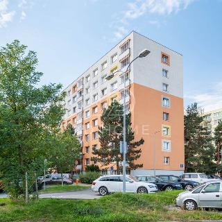 Prodej bytu 3+1 63 m² Mladá Boleslav, U stadionu